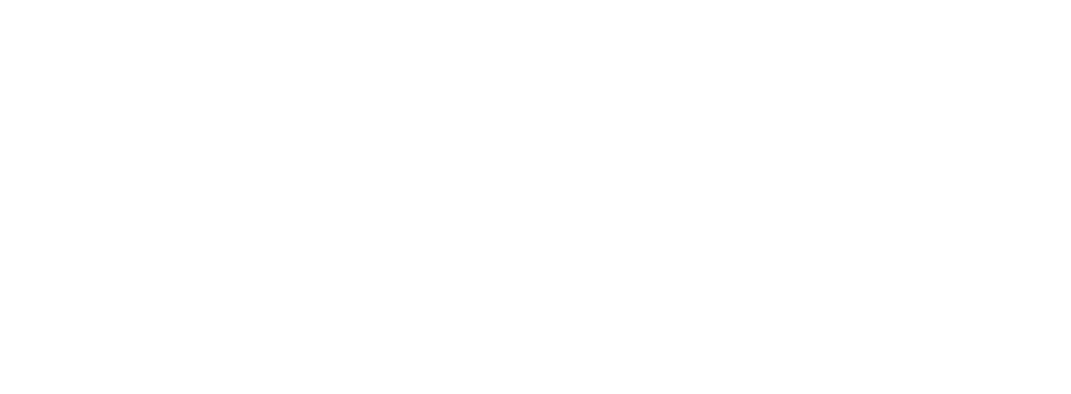 FENINFRA